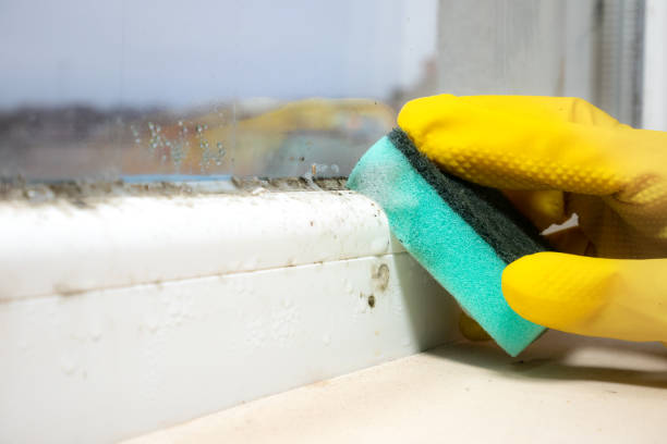 Home Mold Removal in Fairview, OK