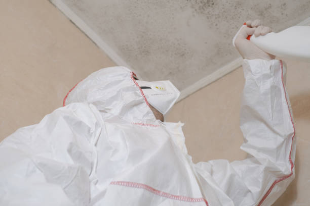 Office Mold Removal Services in Fairview, OK