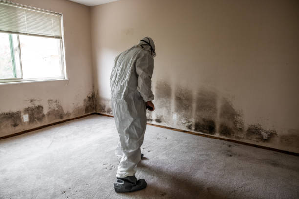 Crawl Space Mold Removal in Fairview, OK