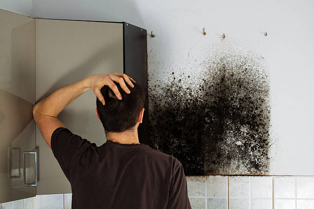 Best Residential Mold Removal  in Fairview, OK